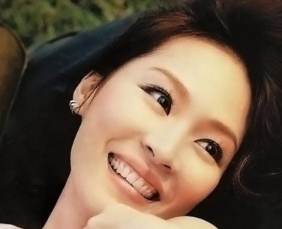 张宇的《囚鸟》 歌词