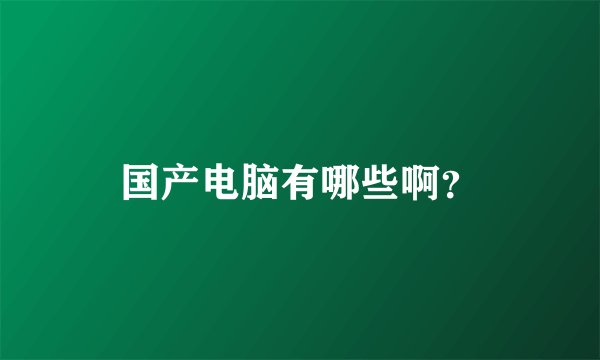国产电脑有哪些啊？
