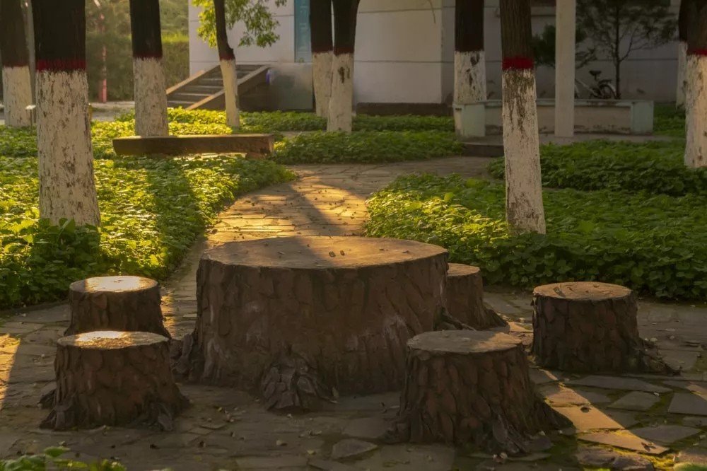 延安大学好不好