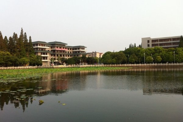 长江大学分数线2020年录取分数线是多少？