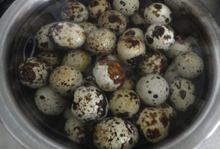 怎么煮鹌鹑蛋？