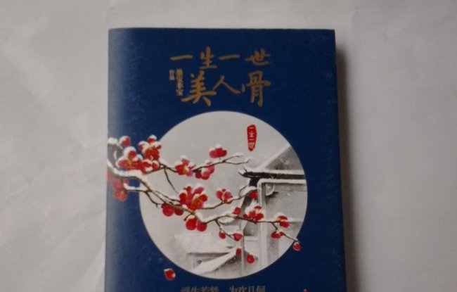 《一生一世美人骨》讲述了怎样的故事?