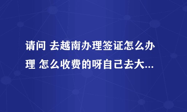 请问 去越南办理签证怎么办理 怎么收费的呀自己去大使馆办理收费多少？
