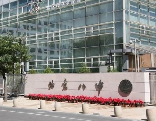 在北京八中少儿班就读是怎样的体验