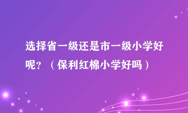 选择省一级还是市一级小学好呢？（保利红棉小学好吗）