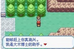 口袋妖怪火红版图文攻略(全!!!!)