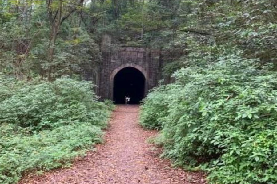 日本“犬鸣隧道”因离奇事故不断遭封锁,到底是何原因?