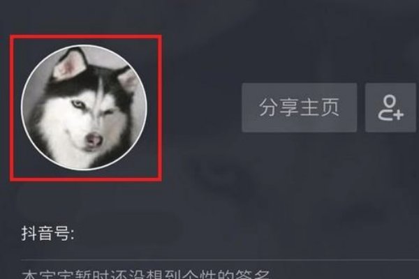 抖音透明头像怎么弄