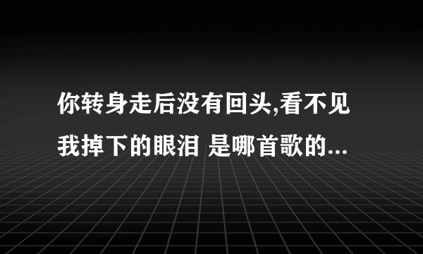 你转身走后没有回头,看不见我掉下的眼泪 是哪首歌的歌词 追加一个：用一生换你一次初相遇又是哪首歌的歌词