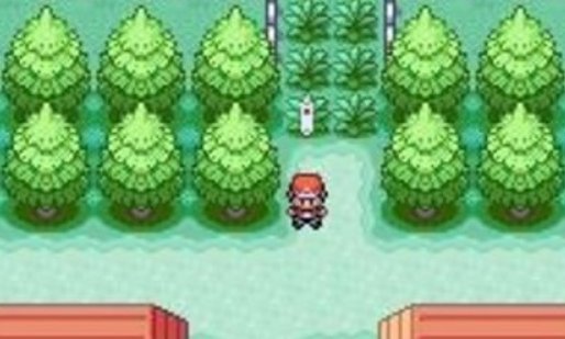 口袋妖怪火红版图文攻略(全!!!!)