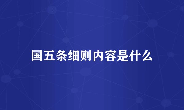 国五条细则内容是什么