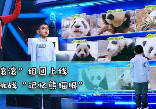 王恒屹哪年出生的1