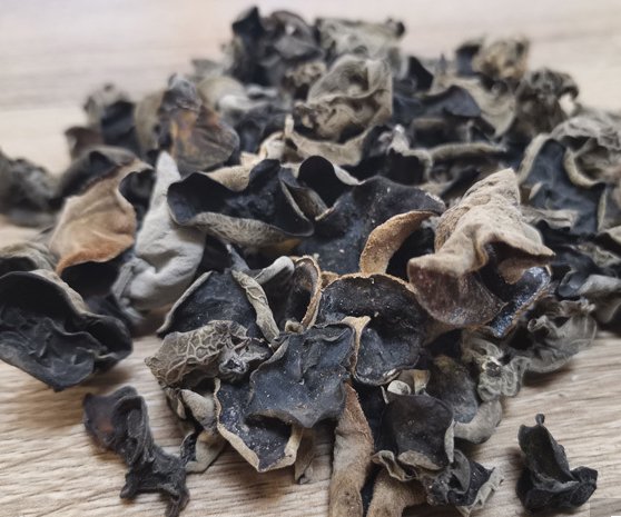 东北木耳特点介绍