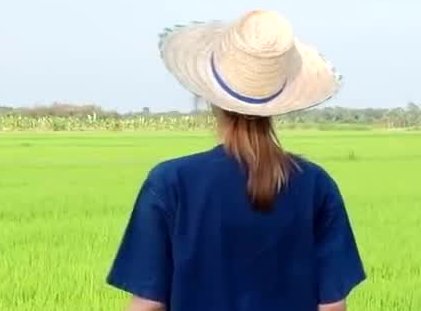 田园女孩啥意思