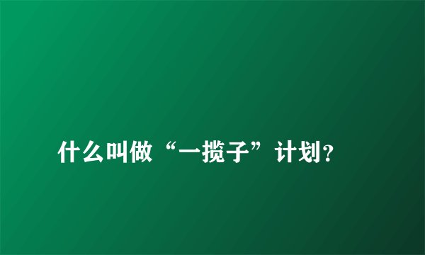 
什么叫做“一揽子”计划？

