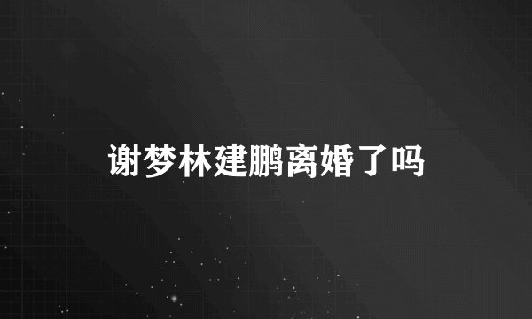 谢梦林建鹏离婚了吗