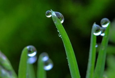 什么的春雨 填形容词