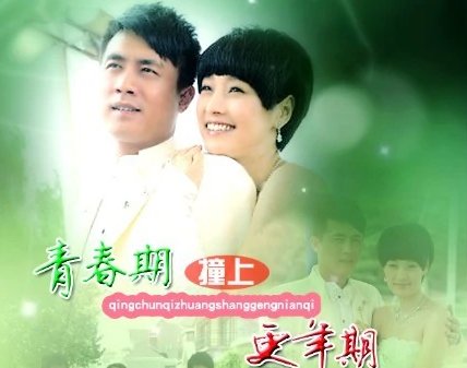 邓家齐和贺飞儿是什么电视剧