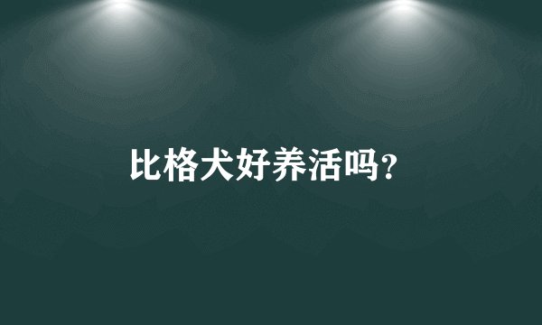 比格犬好养活吗？