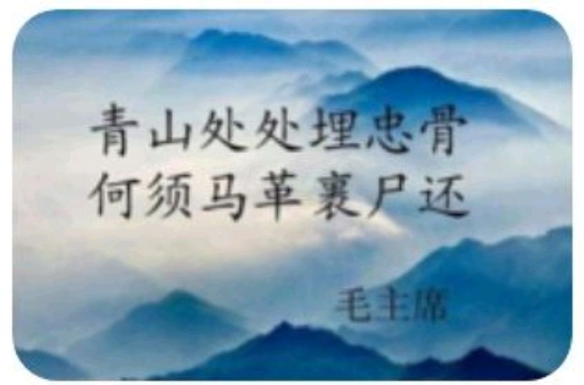 青山处处埋忠骨何须马革裹尸还这是清代诗人谁写的什么诗？