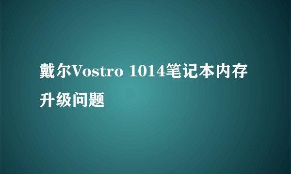 戴尔Vostro 1014笔记本内存升级问题