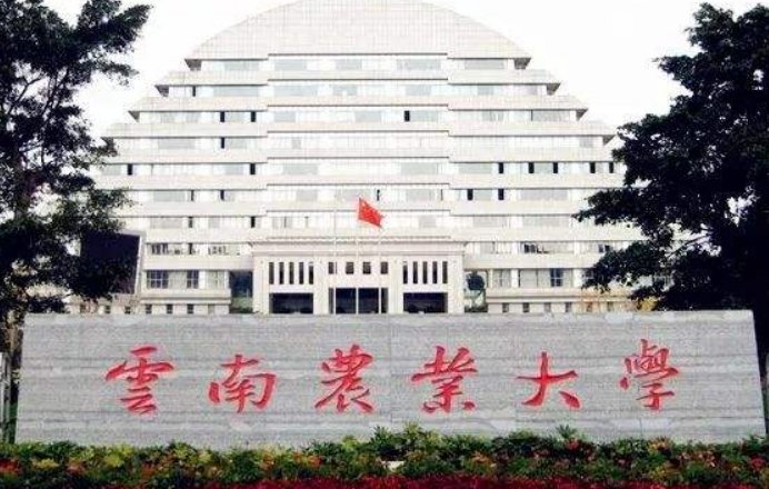 云南农业大学教务管理平台怎么进不去了