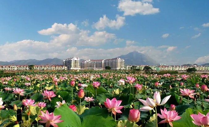 石城县属于哪个市