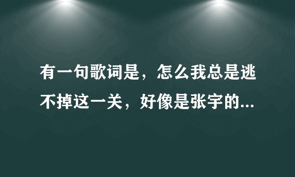 有一句歌词是，怎么我总是逃不掉这一关，好像是张宇的歌，求歌名
