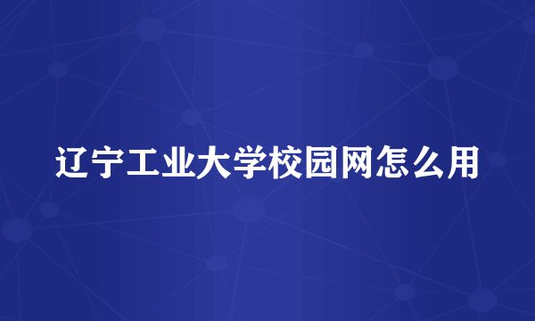 辽宁工业大学校园网怎么用