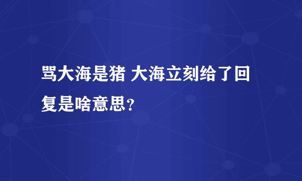 骂大海是猪 大海立刻给了回复是啥意思？