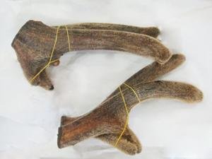 身为东北三宝之一的鹿茸,它都有哪些功效和作用?