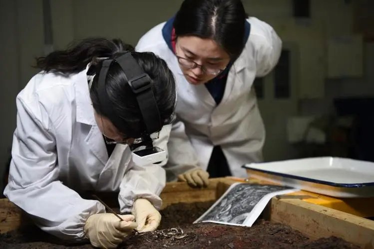 文物保护与修复专业是学什么的，课程有哪些？