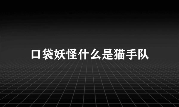 口袋妖怪什么是猫手队