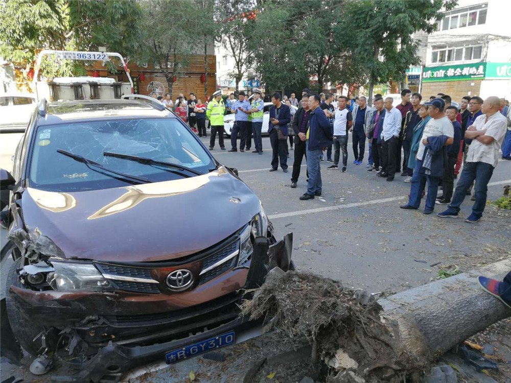 江苏一老人推婴儿车过马路时被车撞飞,这场事故的主要责任人是谁?