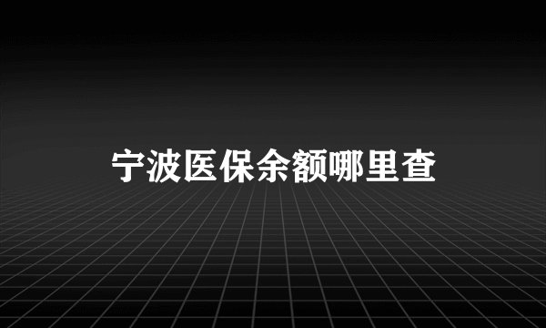 宁波医保余额哪里查
