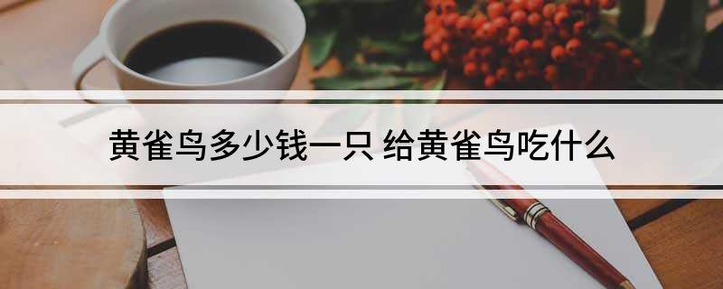 黄雀鸟多少钱一只给黄雀鸟吃什么