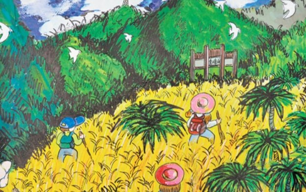 五年级下册研究报告怎么写？