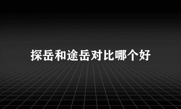 探岳和途岳对比哪个好