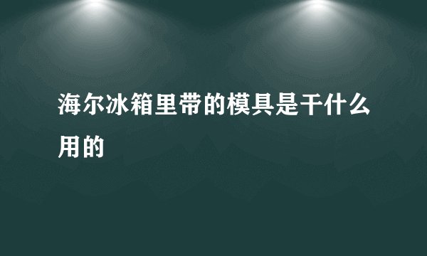 海尔冰箱里带的模具是干什么用的