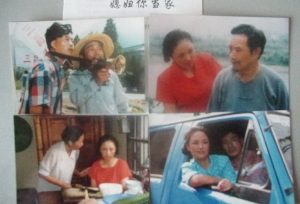 《媳妇你当家》的演员表