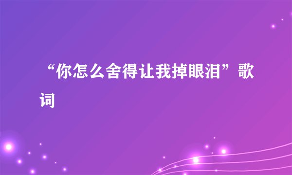 “你怎么舍得让我掉眼泪”歌词