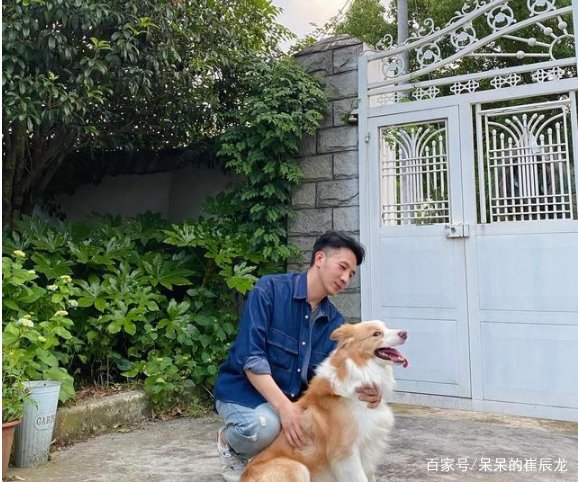 林生斌资产情况被扒，亡妻遗产痕迹被抹，近两年名下公司变动大，你怎么看？