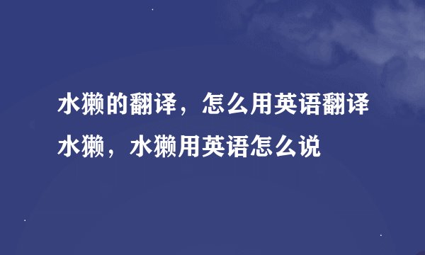 水獭的翻译，怎么用英语翻译水獭，水獭用英语怎么说