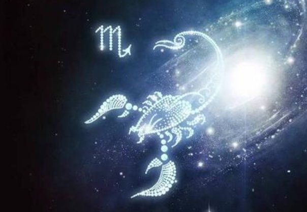 十一月十一日是什么星座？