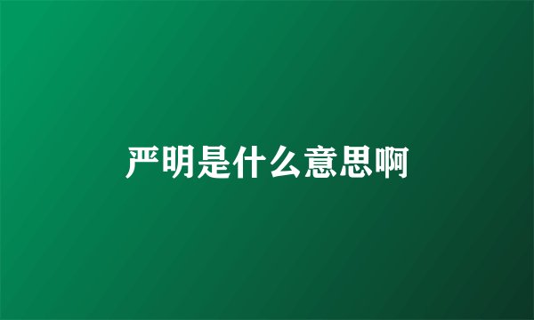 严明是什么意思啊