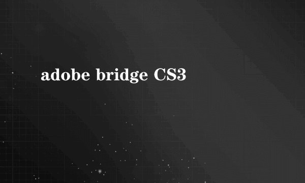 adobe bridge CS3