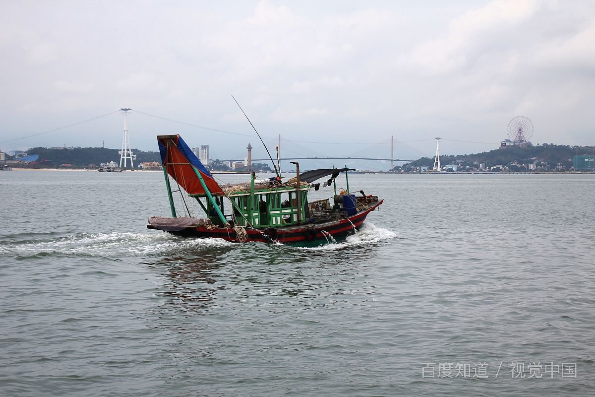 calm中文是什么意思