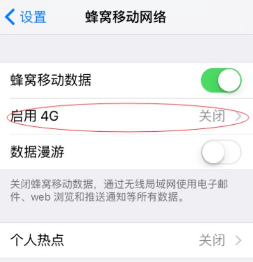 苹果手机5s怎么设置4G网络