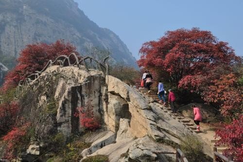 翠华山门票多少钱