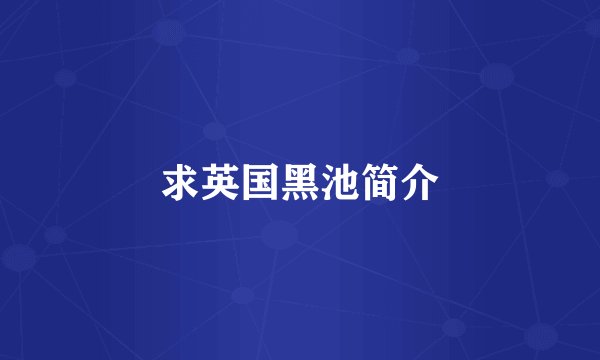 求英国黑池简介